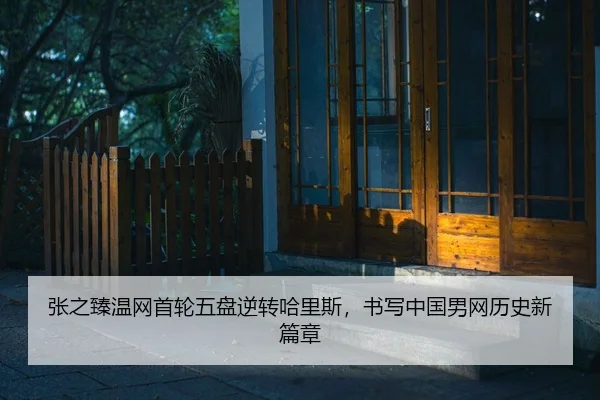 zhang-zhi-zhen-wen-wang-shou-lun-wu-pan-ni-zhuan-ha-li-si-shu-xie-zhong-guo-nan-wang-li-shi-xin-pian-zhang-2-999.jpg