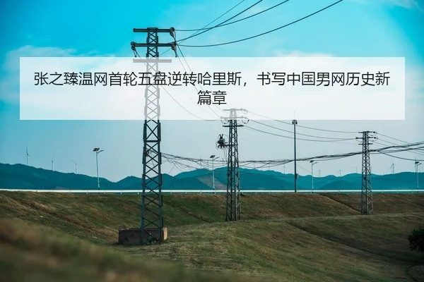 zhang-zhi-zhen-wen-wang-shou-lun-wu-pan-ni-zhuan-ha-li-si-shu-xie-zhong-guo-nan-wang-li-shi-xin-pian-zhang-3-419.jpg