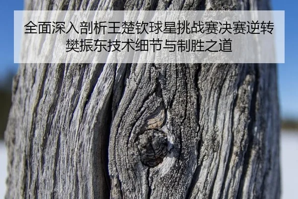 全面深入剖析王楚钦球星挑战赛决赛逆转樊振东技术细节与制胜之道
